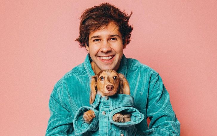 David Dobrik GF List! Who is David's Girlfriend Now?